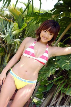 乡村野花香